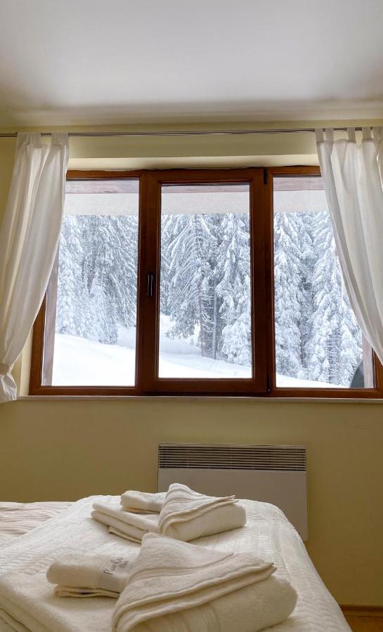 Ski Area 202 Apt, The Castle 1, Pamporovo Exterior photo